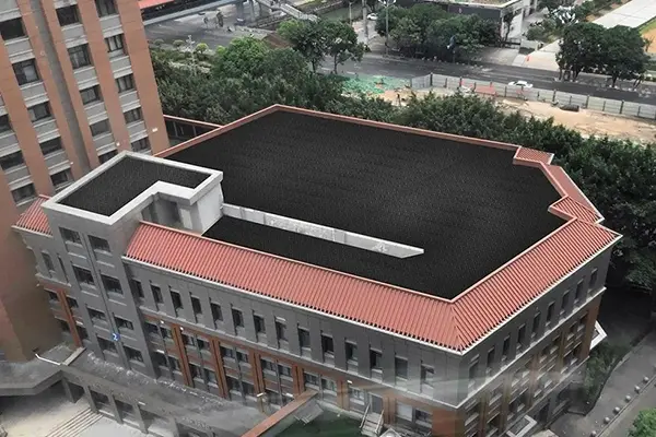 Blue-green roof drainage layer with water storage on podium deck