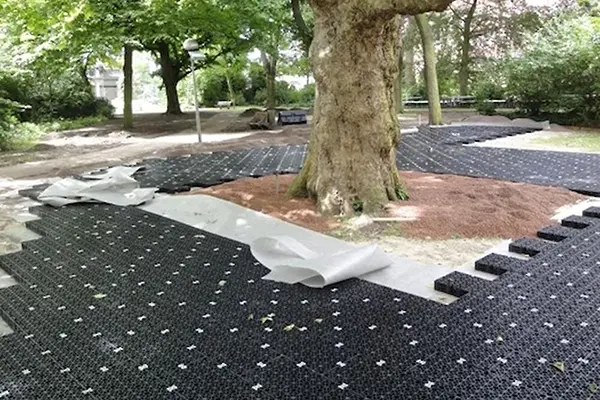 Geocellular tree root protection system preventing soil compaction under paved roads