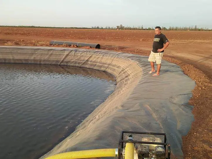 Fish-safe LLDPE pond liner for aquaculture shrimp farming and biogas lagoons